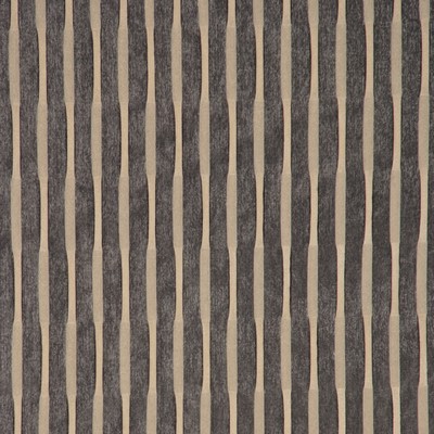 RM Coco CANON CHAMPAGNE