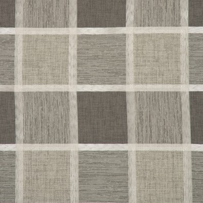 RM Coco TREBLE CHAMPAGNE