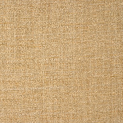 RM Coco EVER PARCHMENT