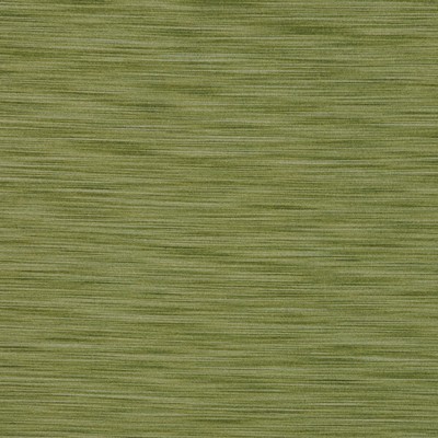 RM Coco MARVEL FOREST