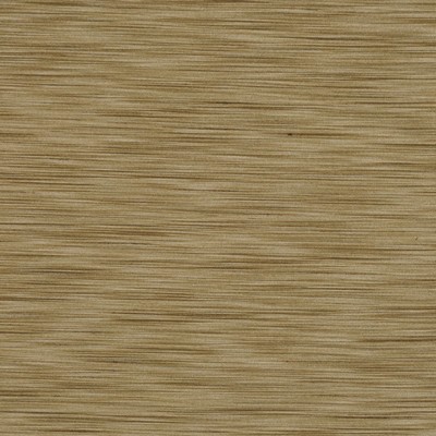 RM Coco MARVEL SPROUT