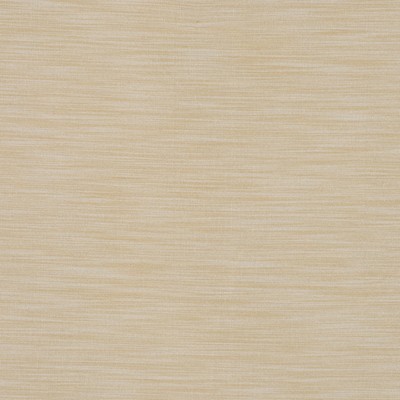 RM Coco MARVEL CHAMPAGNE