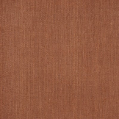 RM Coco INSIGHT SPICE