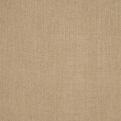 RM Coco INSIGHT TOAST