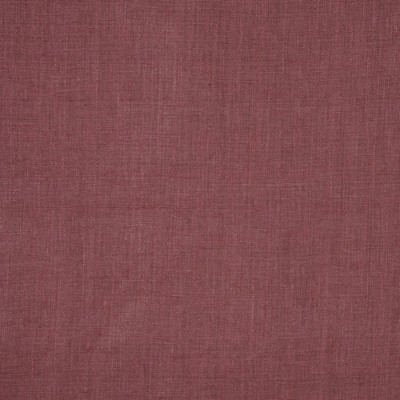 RM Coco INSIGHT PRUNE