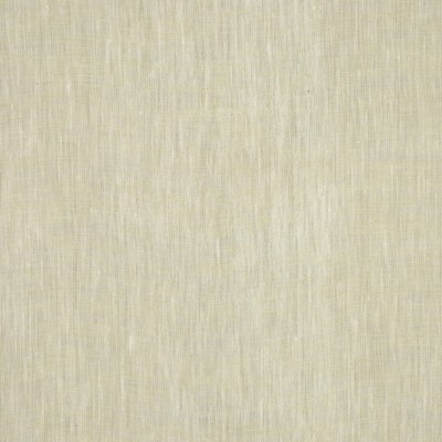 RM Coco INSIGHT SUMMER