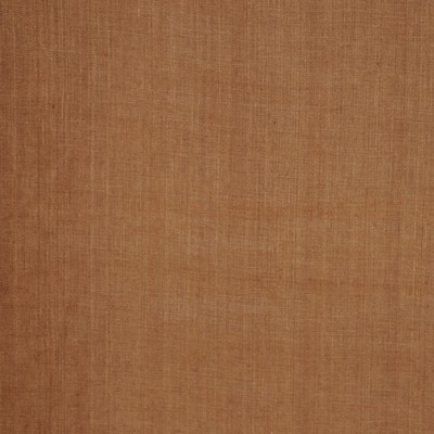 RM Coco INSIGHT CARDAMON