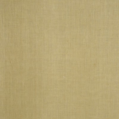 RM Coco INSIGHT CELERY