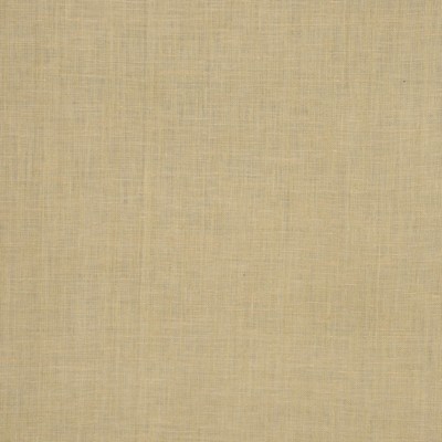 RM Coco INSIGHT GOLD