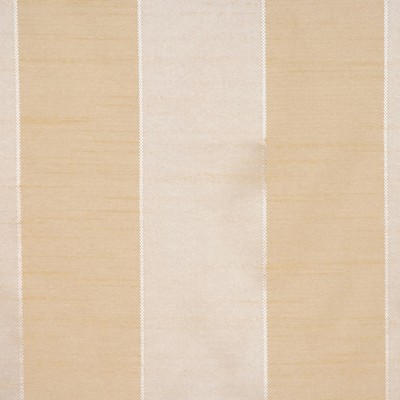 RM Coco PICASSO CHAMPAGNE