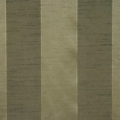 RM Coco PICASSO MOSS