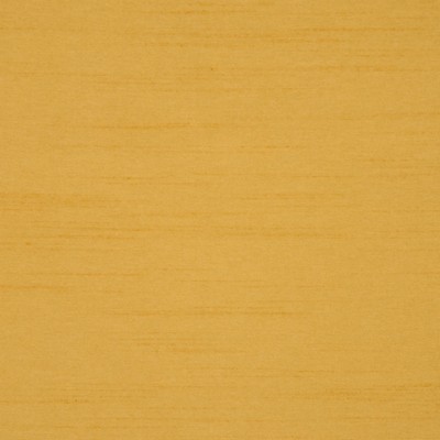 RM Coco RAPHAEL GOLDEN