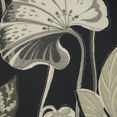 RM Coco DANVILLE CAVIER