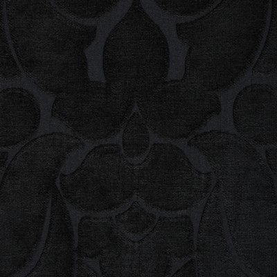 RM Coco MARYLAND CAVIER