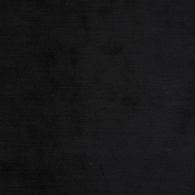 RM Coco CONNECTICUT CAVIER