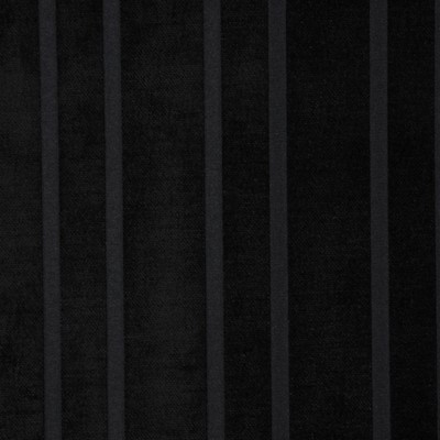 RM Coco DELAWARE CAVIER