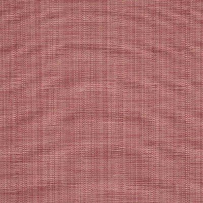 RM Coco BRADFORD CAMEO