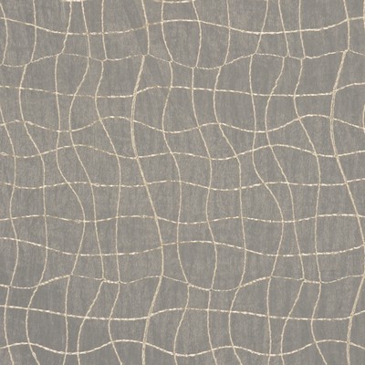 RM Coco GILLESPIE CHAMPAGNE