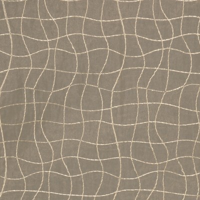 RM Coco GILLESPIE CORN