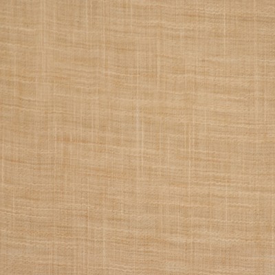 RM Coco LATITUDE PARCHMENT