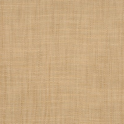 RM Coco AMPLITUDE CASHEW