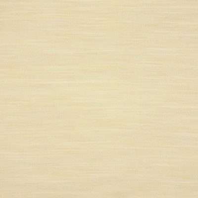 RM Coco LONGITUDE DAFFODIL