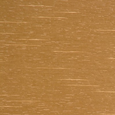 RM Coco GUSTO NUGGET