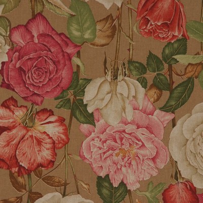 RM Coco 1203cb Cafe Au Lait