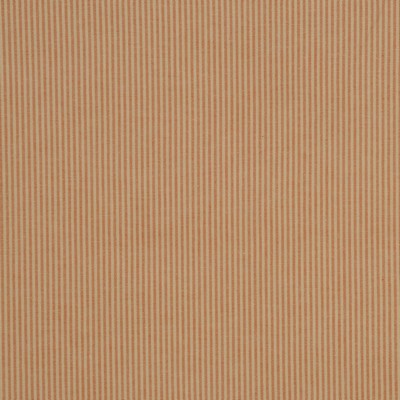 RM Coco FLAGLER PUMPKIN