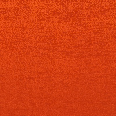 RM Coco LUMINARY TERRA