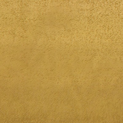 RM Coco LUMINARY TURTLE