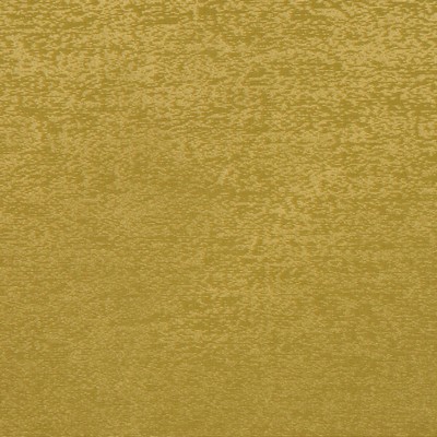 RM Coco LUMINARY FERN