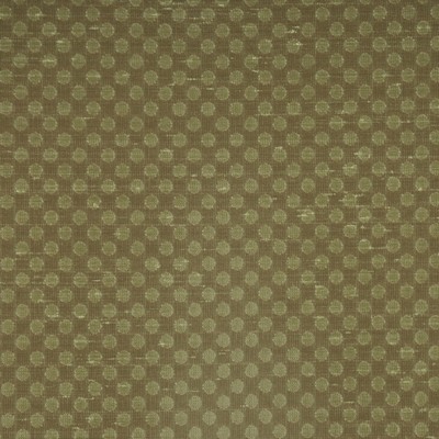 RM Coco DREAM SPRUCE