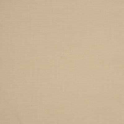 RM Coco MISCHIEF LINDEN