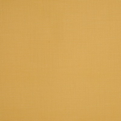 RM Coco MISCHIEF YOLK