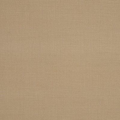 RM Coco MISCHIEF FAWN