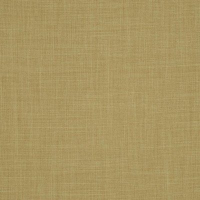 RM Coco FERVOR CHINA GOLD