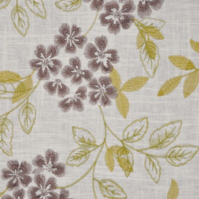 RM Coco SCHUMER SEND SFA JASPER