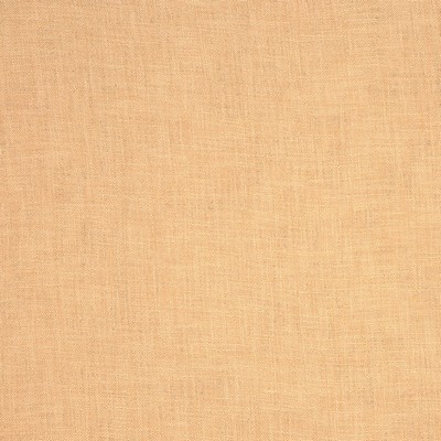 RM Coco BARKER PAPYRUS