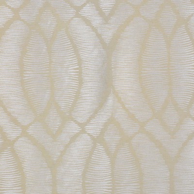 RM Coco HECTOR DRAGONFLY