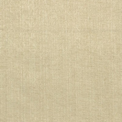 RM Coco BERNINI FERN