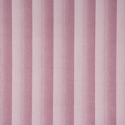 RM Coco 1234cb Grape