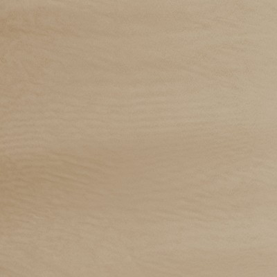 RM Coco CAMERA CEDAR