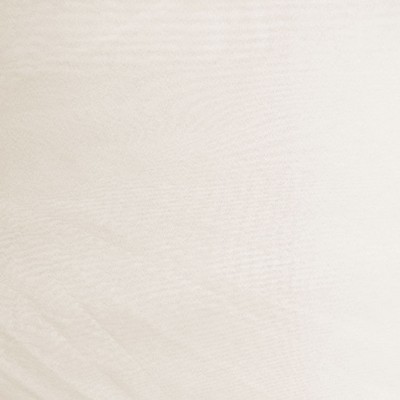 CAMERA CHAMPAGNE RM Coco CAMERA CHAMPAGNE