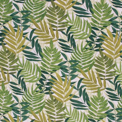 RM Coco ISLAND BREEZE PALM