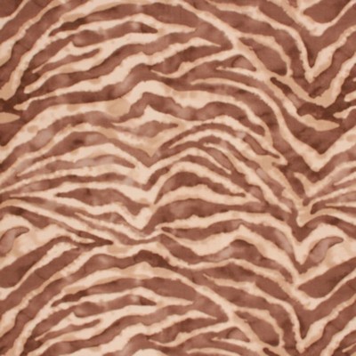 RM Coco TOP CAT CHOCOLATE