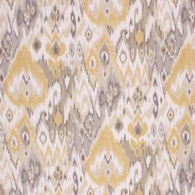 RM Coco SRINAGAR STARDUST