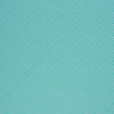 RM Coco AMAZED CARIBE