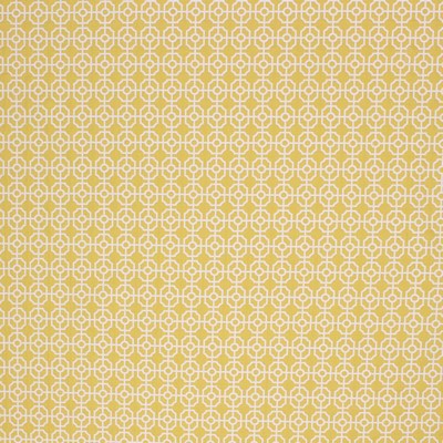 RM Coco CHINON ACID GREEN