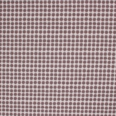 RM Coco SEEING SPOTS CINDERSMOKE